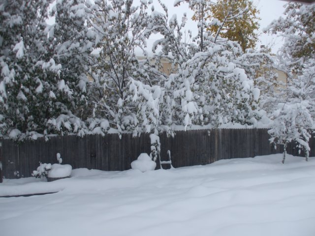 dscf2508.jpg
