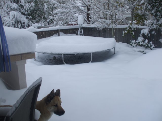 dscf2509.jpg