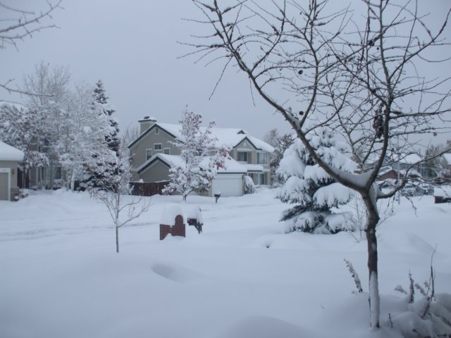 dscf2513.jpg