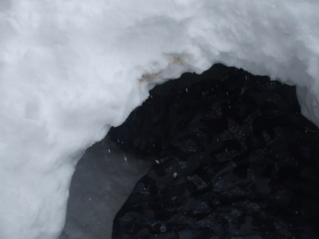 dscf2534.jpg
