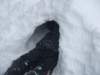 dscf2535_small.jpg