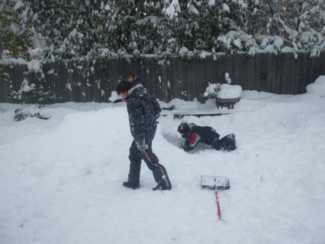 dscf2546.jpg