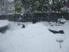 dscf2547_small.jpg