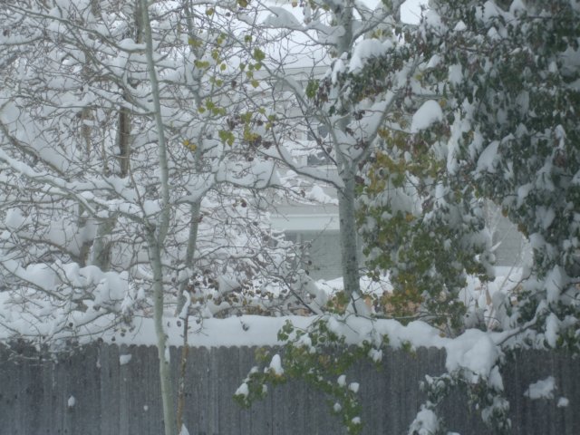 dscf2549.jpg