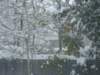 dscf2549_small.jpg