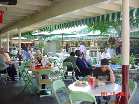 DSC00548