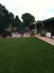 wedding228_small.jpg