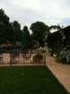 wedding229_small.jpg